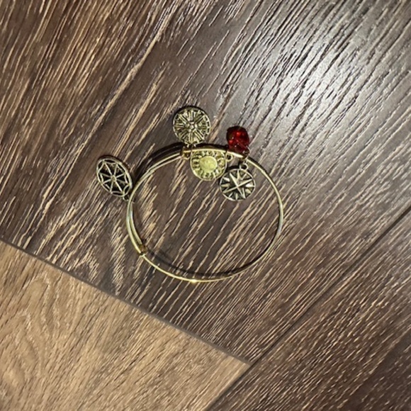 Daughters of the American Revolution: Jewelry and Planner Lot of 4 - Picture 6 of 7